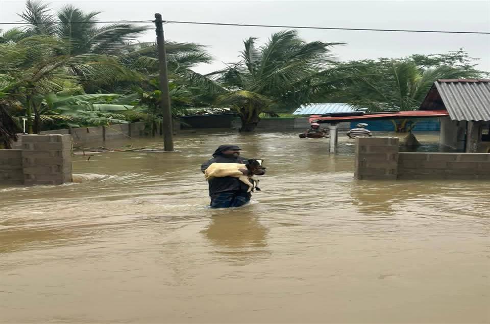 إطعام المتضررين من الفيضانات بسريلانكا 